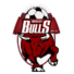 班尤尔市logo