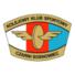 索斯诺维茨女足logo